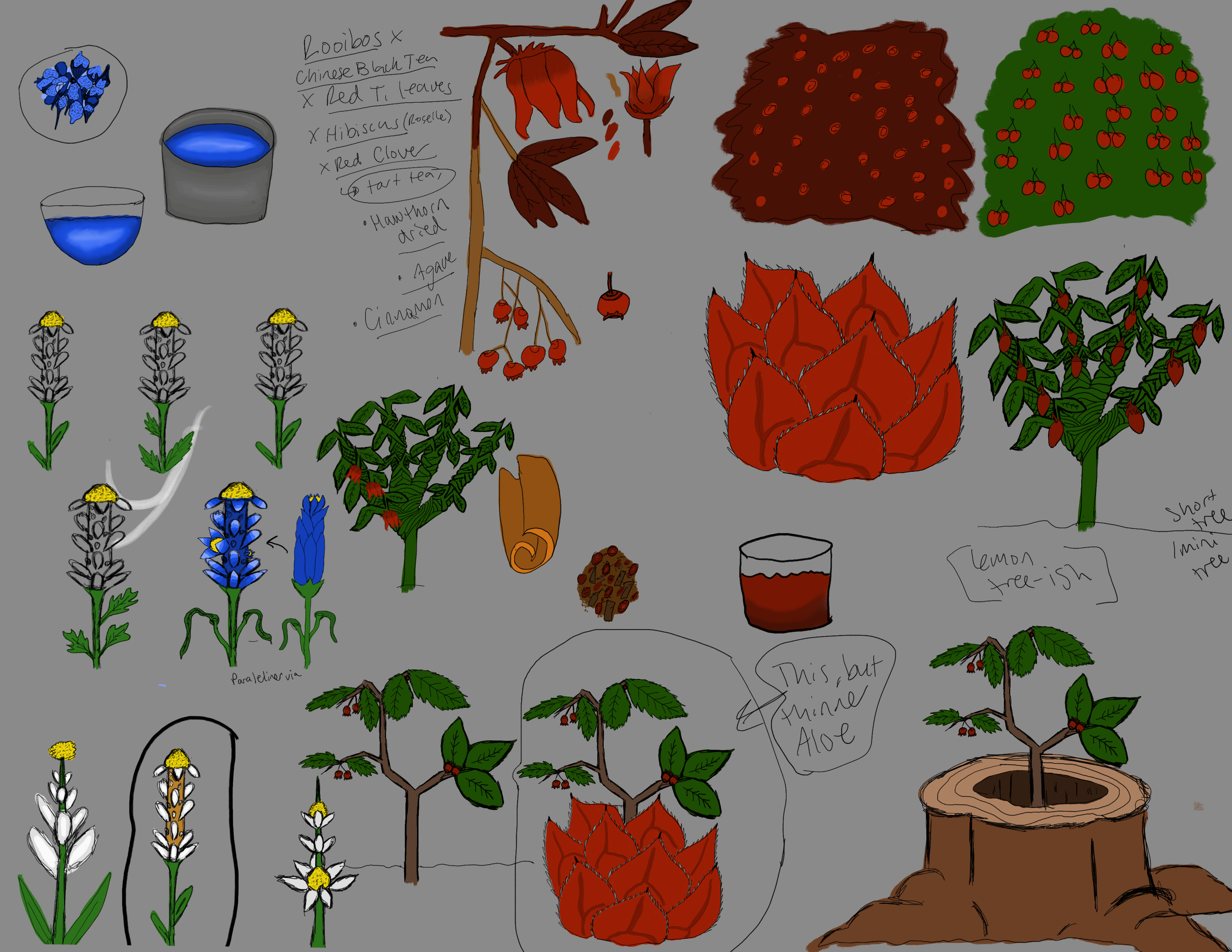 Plants